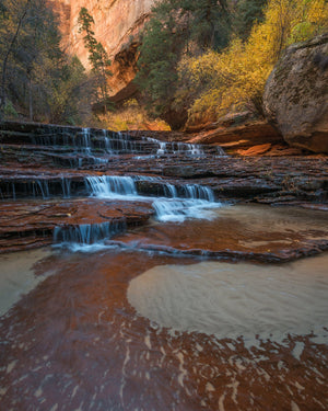 Shoot When the Light is Right