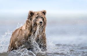 Alaska: Land of the Ggagga