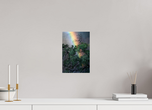 Weathered & Unbeaten, Zimbabwe