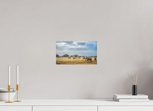 Shadow of Eden, Kenya