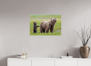 Maternal Instinct, Alaskan Coastal Brown Bear