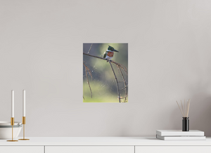 Delicate Details, Amazon Kingfisher