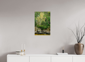 Autumn Confetti, Maine