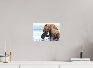 Protection, Alaskan Coastal Brown Bear Cub