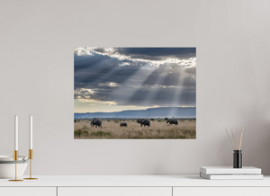 Following Tradition, Elephant