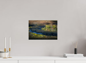 Mirror on the Marsh, Maine