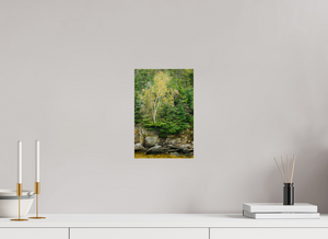 Autumn Confetti, Maine