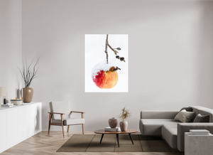 Frozen Delight, Maine