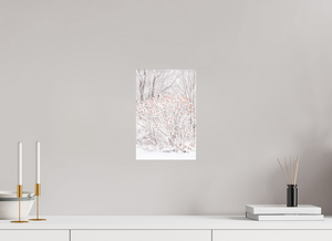 Torches of Winter, Maine