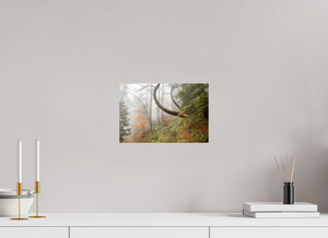 Imaginarium Opus, Slovenia