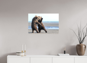 Sibling Rivalry, Alaskan Coastal Brown Bear Cubs