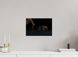 Shadow Guard, Botswana