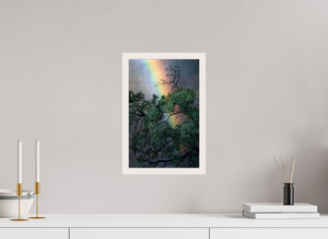 Weathered & Unbeaten, Zimbabwe