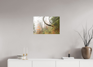 Imaginarium Opus, Slovenia