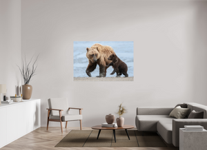 Playful Invitation, Alaskan Coastal Brown Bear
