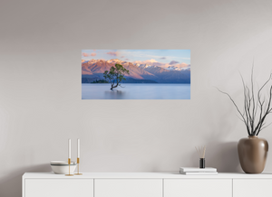 Endurance, New Zealand