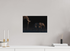 Shadow Guard, Botswana