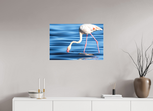 Point of Impact, Greater Flamingo