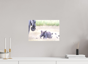 Childhood Fantasy, Elephant