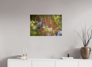 Impressions of Monet, Maine