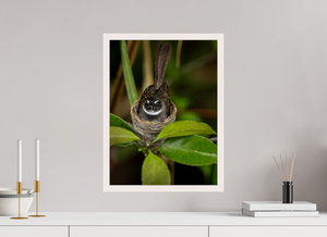 Weathering The Storm, Fantail