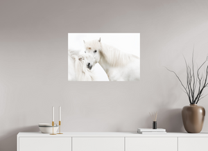 Transparency, Iceland