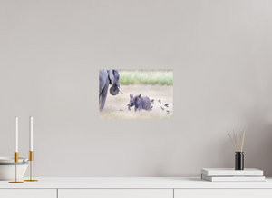 Childhood Fantasy, Elephant