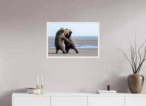 Sibling Rivalry, Alaskan Coastal Brown Bear Cubs