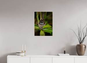 Weathering The Storm, Fantail