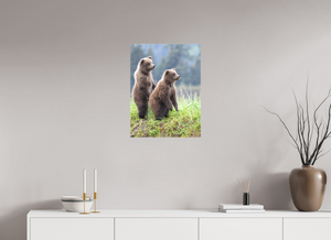 Double Trouble, Alaskan Coastal Brown Bear Cubs