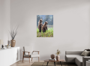 Double Trouble, Alaskan Coastal Brown Bear Cubs