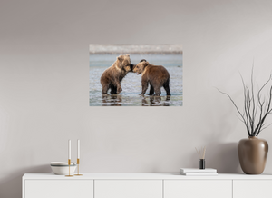 Conflict, Alaskan Coastal Brown Bear Cubs