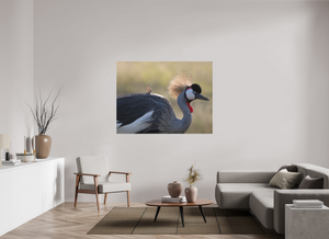 Rouge Details, Crowned Crane