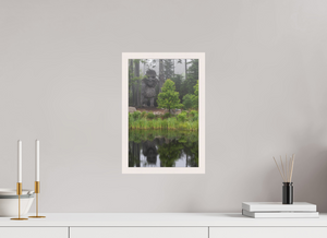 Eyes in the Forest, Maine