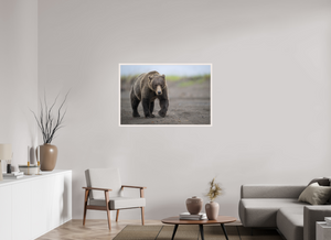 Intimidation, Alaskan Coastal Brown Bear