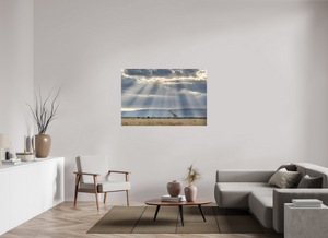 Waiting on Giants, Giraffe