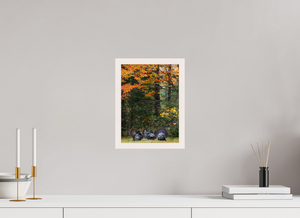 Signs of the Season, Turkey