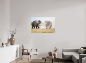 War and Peace, Elephant