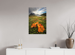 Gems in the Rough, Norway