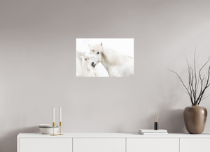 Transparency, Iceland