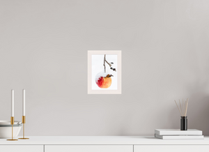 Frozen Delight, Maine