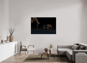 Shadow Guard, Botswana