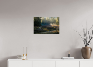 Ethereal Forest, Montenegro