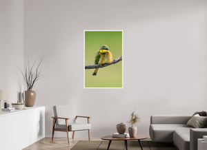 Avian Acrobat, Little Bee Eater