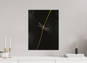 Potential Energy, Dragon Fly