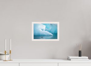 Frozen Eider, Iceland