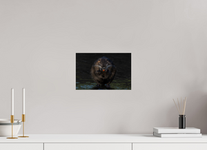 Beyond Braces, Nutria