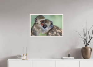 Primal Emotion, Vervet Monkey