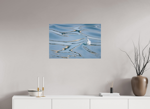 Curled Reflections, Iceland