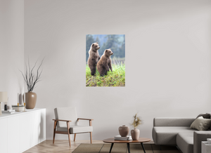 Double Trouble, Alaskan Coastal Brown Bear Cubs